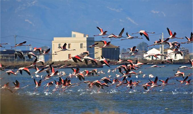 Lo Trabucador Casa Nueva En El Corazon Del Delta Villa เอลโปเบลโนว เดล เดลตา ภายนอก รูปภาพ