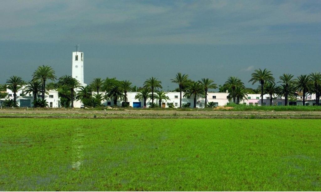 Lo Trabucador Casa Nueva En El Corazon Del Delta Villa เอลโปเบลโนว เดล เดลตา ภายนอก รูปภาพ